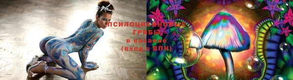 ешки Беломорск