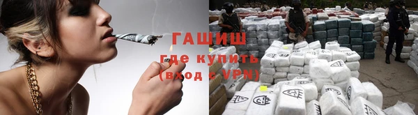прущие грибы Белокуриха