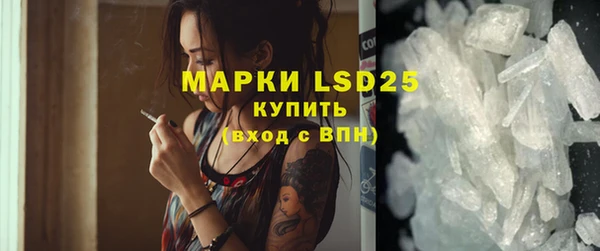 прущие грибы Белокуриха