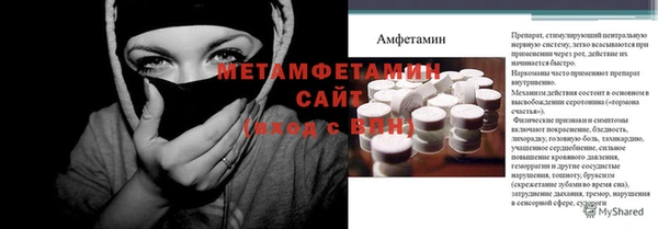 прущие грибы Белокуриха