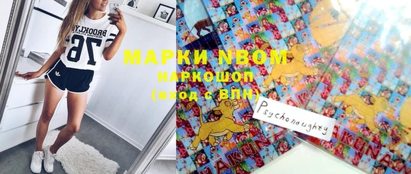 прущие грибы Белокуриха