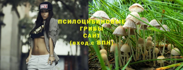 дживик Белоозёрский