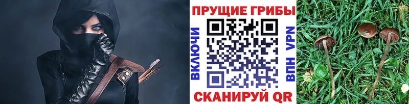 Псилоцибиновые грибы Psilocybe  Верхняя Салда 
